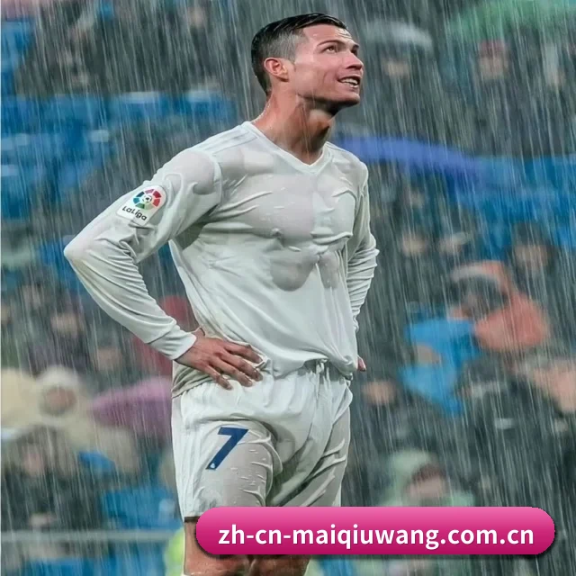五大服务分区,信息按项目分类