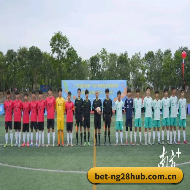 赛事数据与深度分析